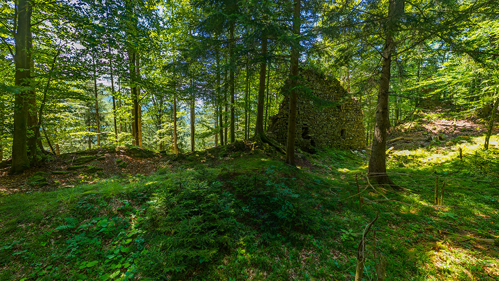 Voransicht zur virtuellen Tour Burg-Ruine Alt-Leonroth in der Steiermark