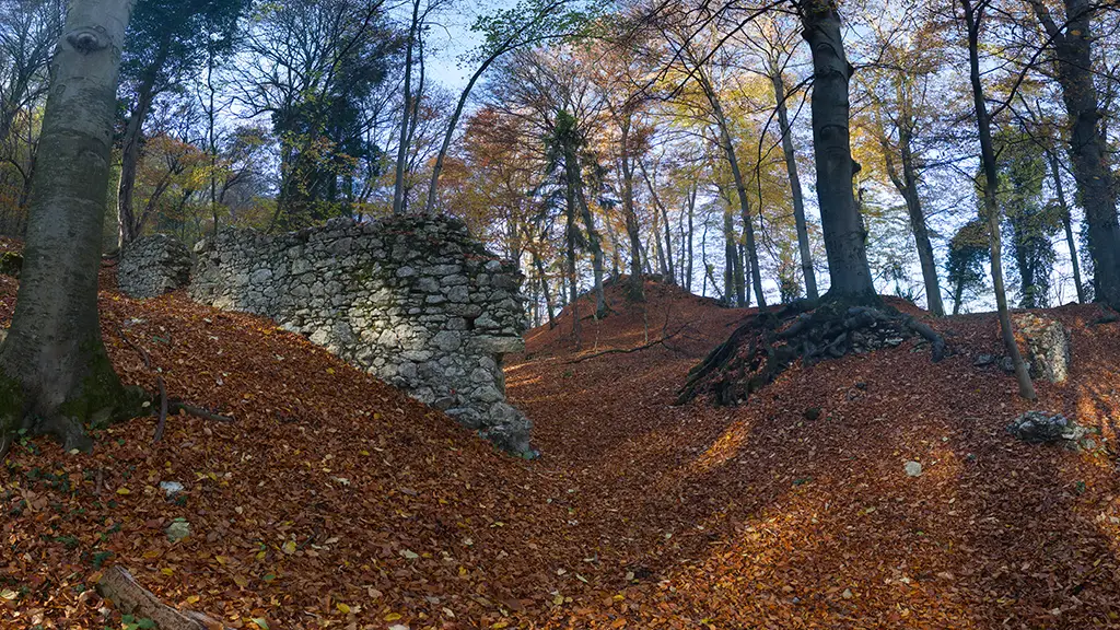 Burgruine Ful am Wildoner Schlossberg 2025