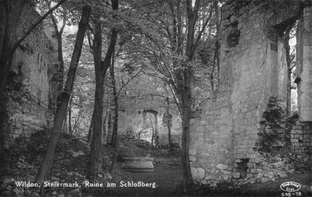 Ruine Neu-Wildon auf einer schwarz-weißen Postkarte um 1930. 