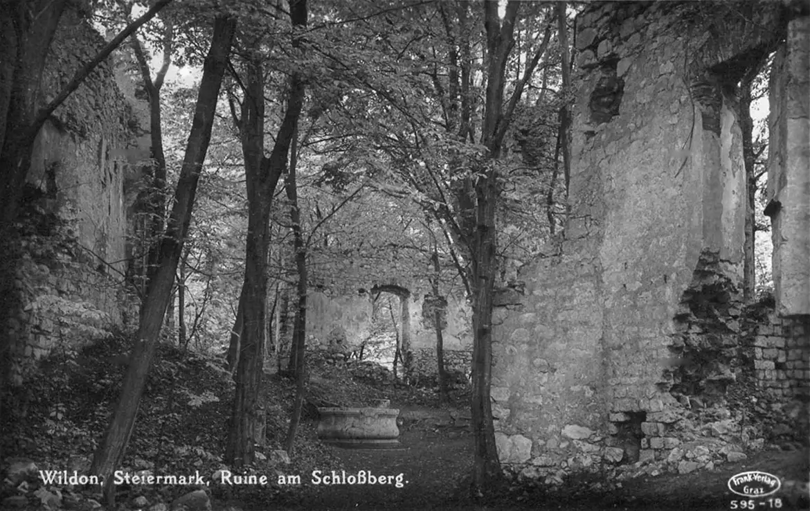 Ruine Neu-Wildon auf einer schwarz-weißen Postkarte um 1930. 