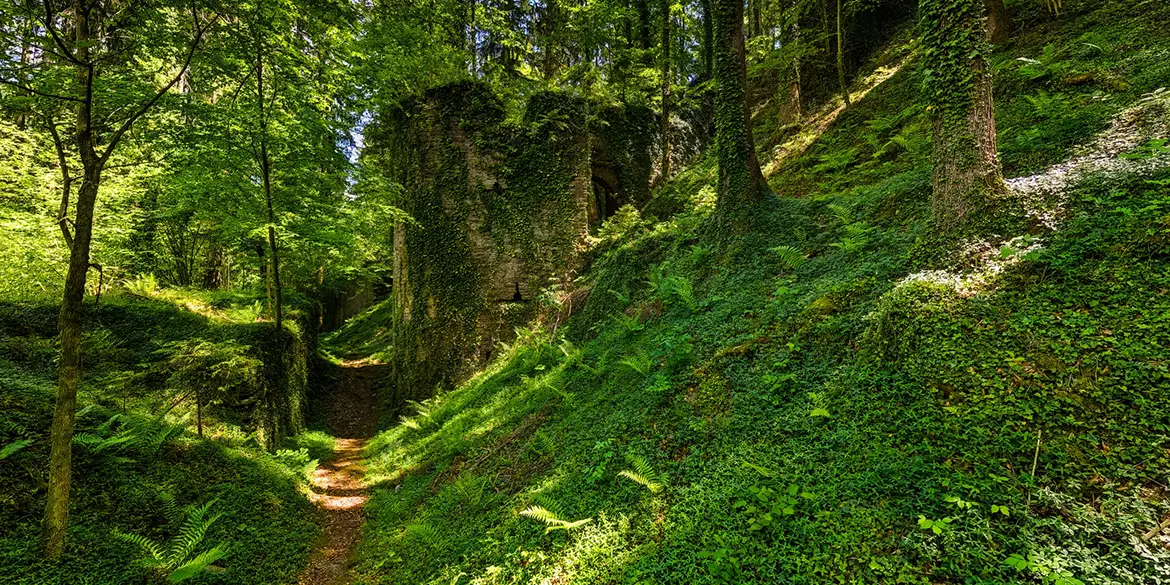 Burg-Ruine Neu-Leonroth in der Steiermark. Aufnahme Sommer 2024.