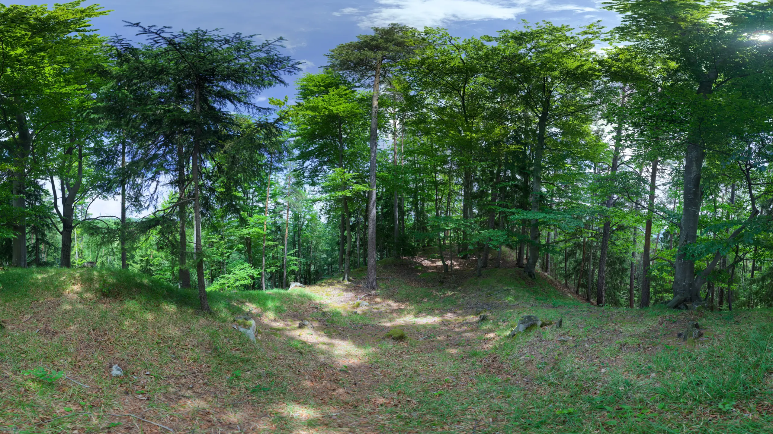 Voransicht der Burgruine/Burgstall Forchtenberg