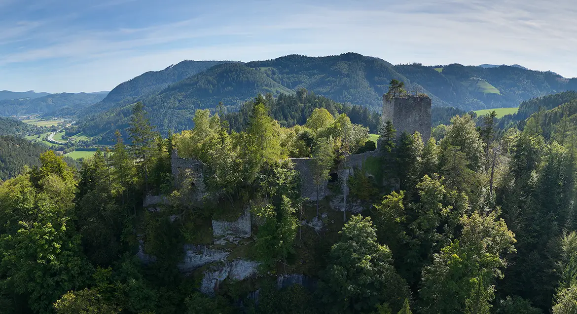 Nordansicht (Luftbild) der Ruine Waldstein